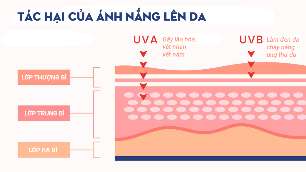 Tác hại của ánh nắng đến da