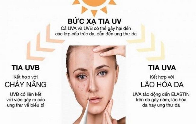 Tại sao ánh nắng lại có khả năng tàn phá làn da của bạn tới vậy?