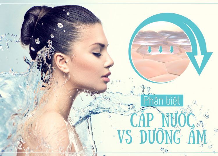 CẤP ẨM VÀ CẤP NƯỚC – TƯỞNG CHỪNG LÀ MỘT NHƯNG LẠI RẤT KHÁC NHAU