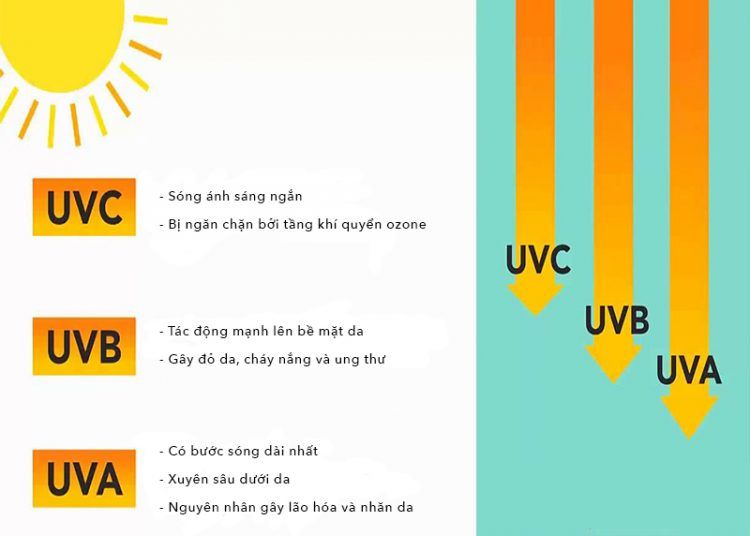 Tại sao ánh nắng lại có khả năng tàn phá làn da của bạn tới vậy?